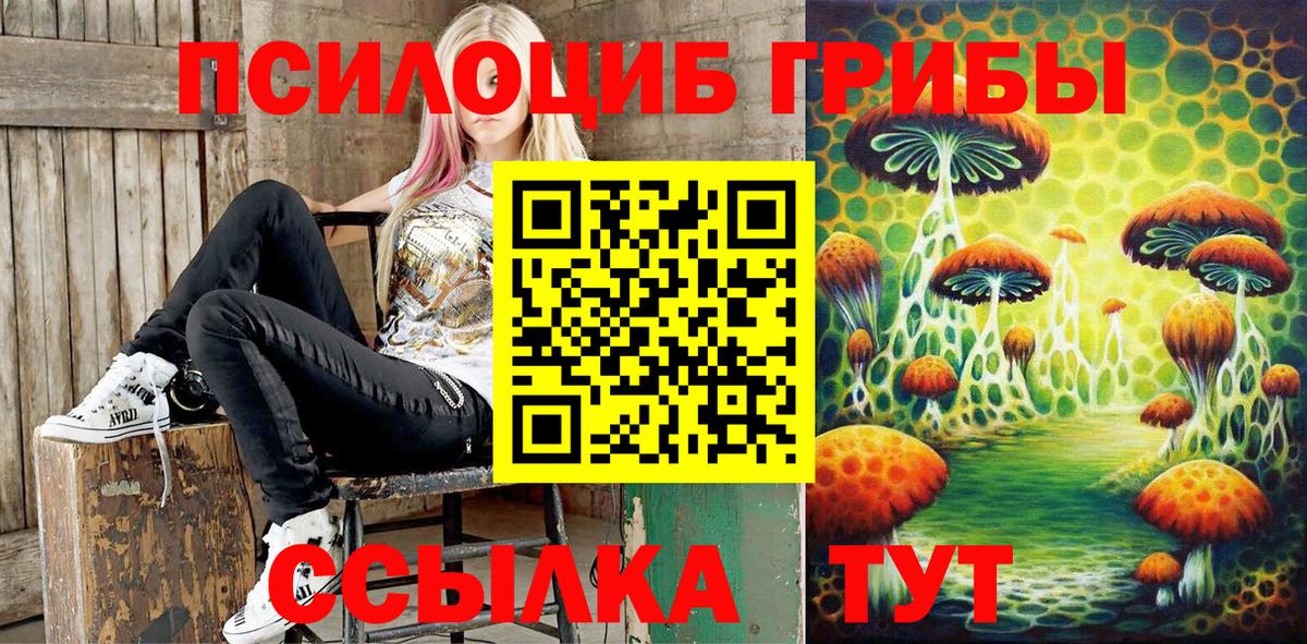 Удомля  Галлюциногенные грибы MAGIC MUSHROOMS  Вход с VPN 